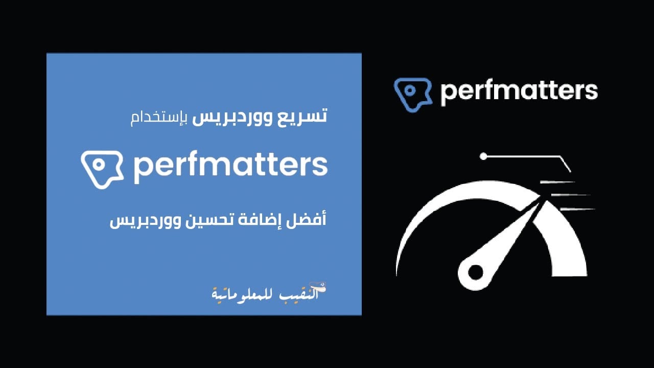 تسريع ووردبريس بإستخدام اضافة Perfmatters | أفضل إضافة تحسين موقع ووردبريس