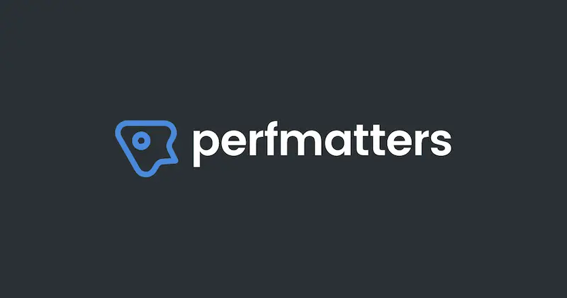 إضافة Perfmatters للتحكم فى موارد الصفحة وتسريع الموقع